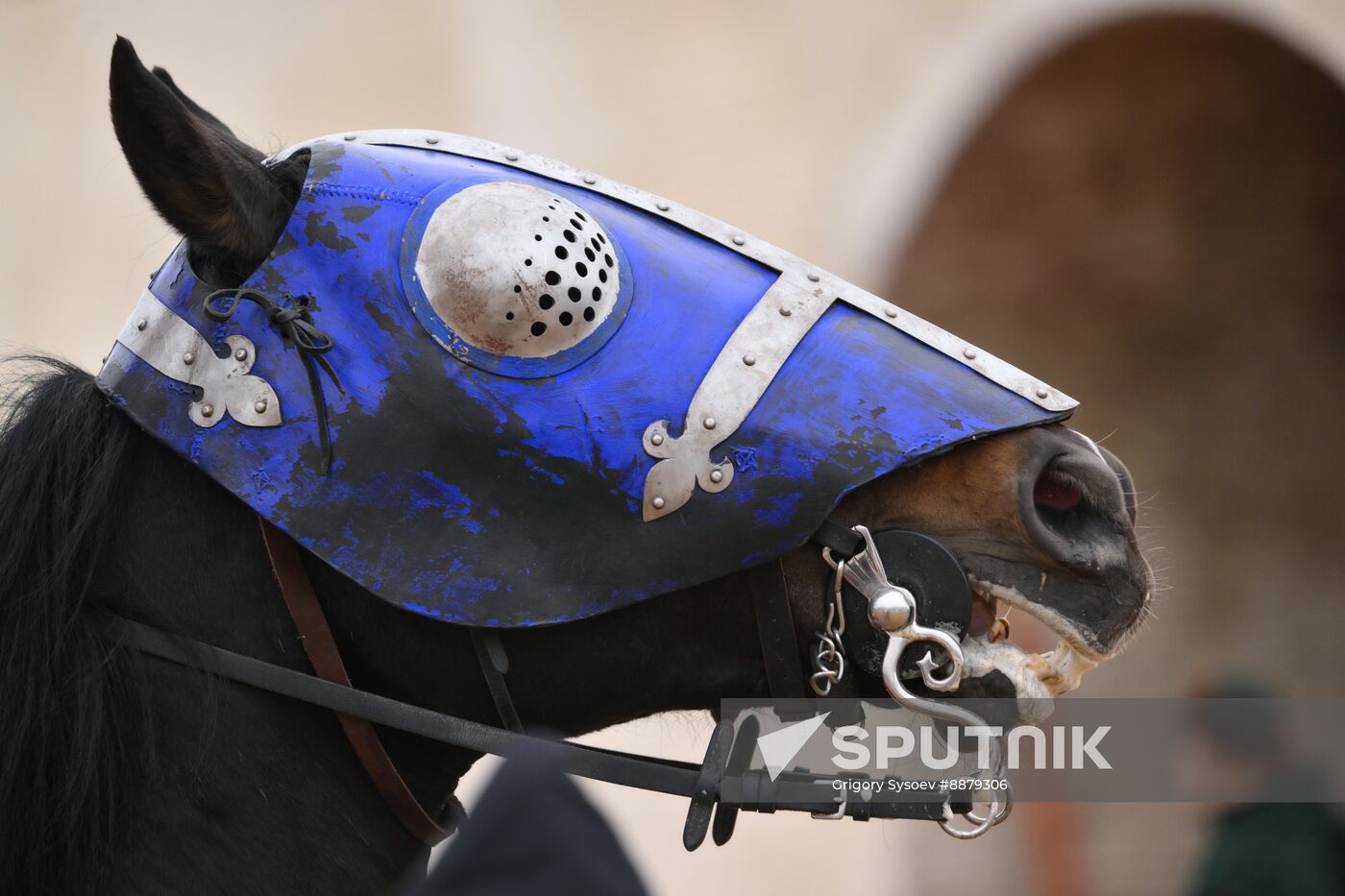 Russia Joust Reenactment