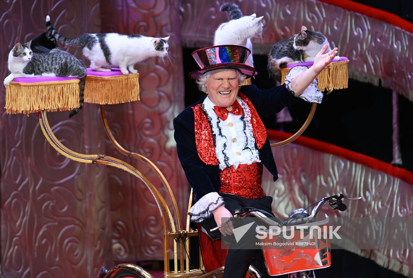 Russia Cat Show