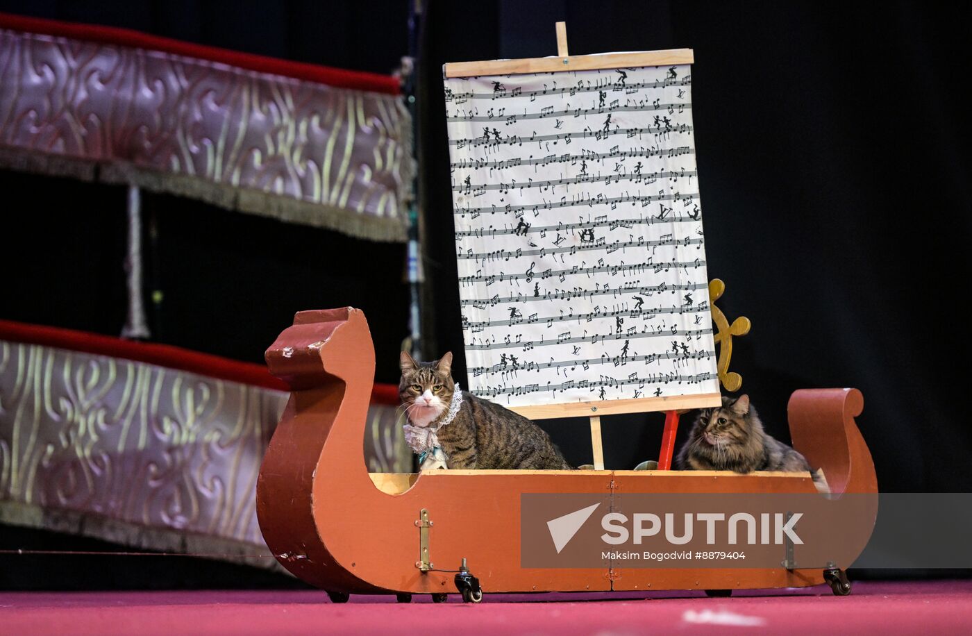 Russia Cat Show