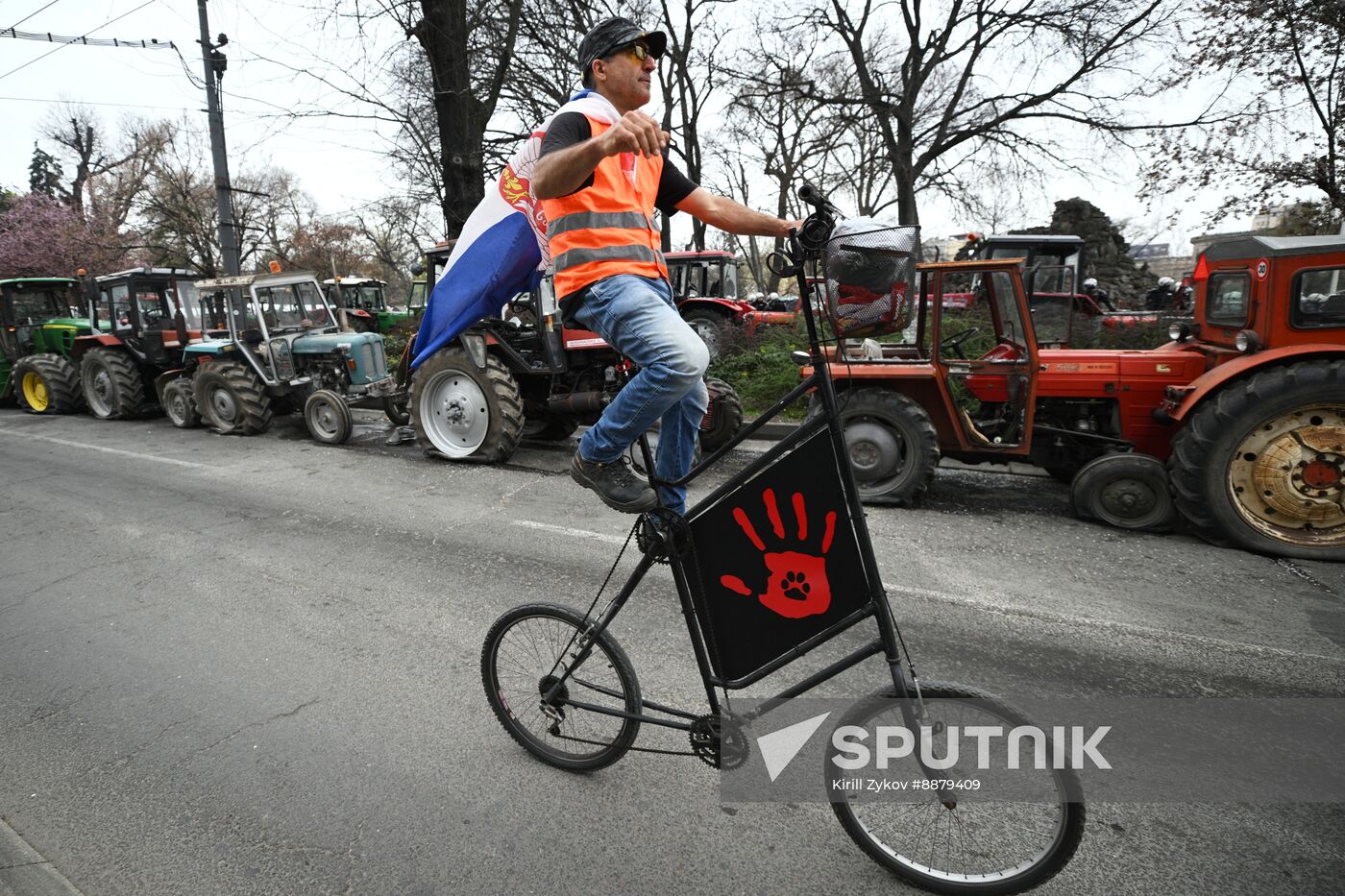 Serbia Protests