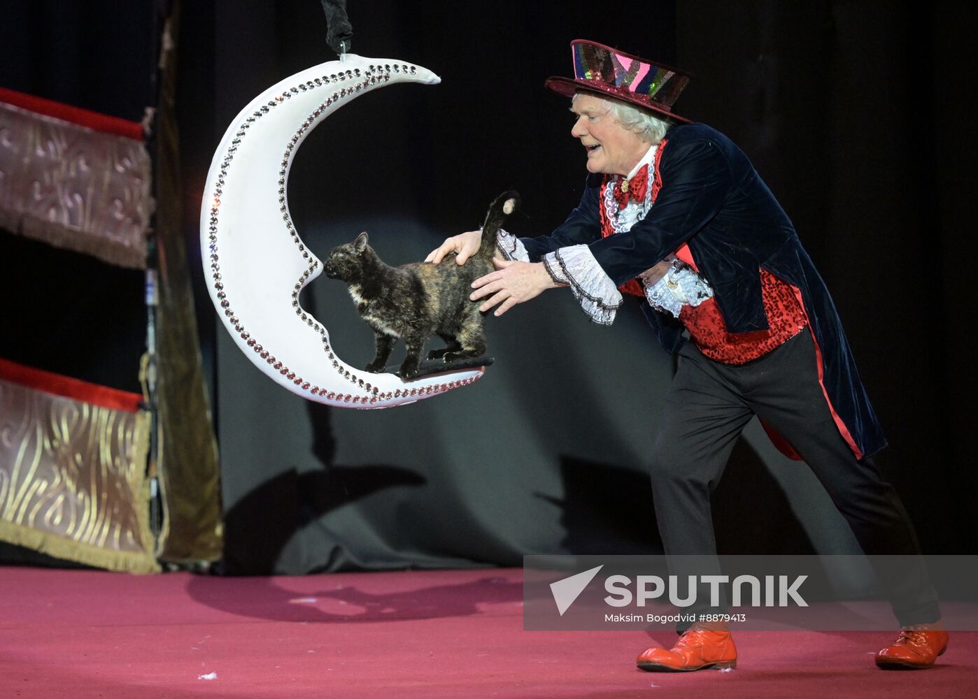 Russia Cat Show
