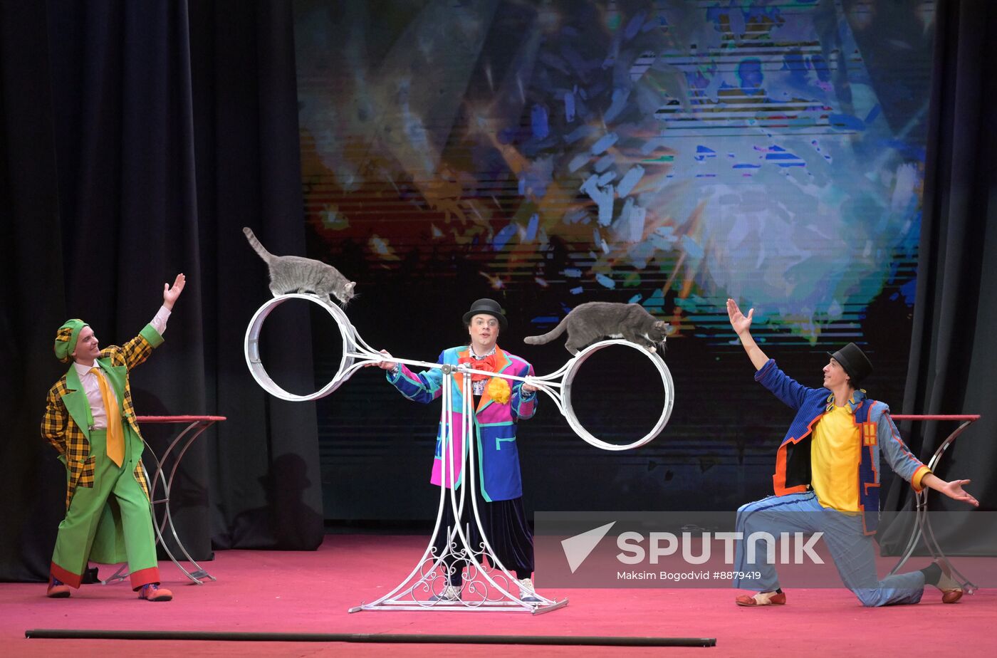 Russia Cat Show