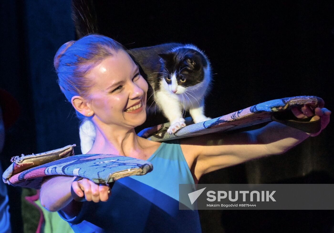 Russia Cat Show