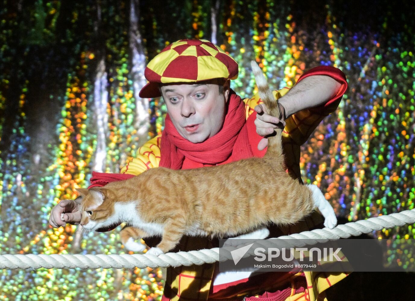 Russia Cat Show