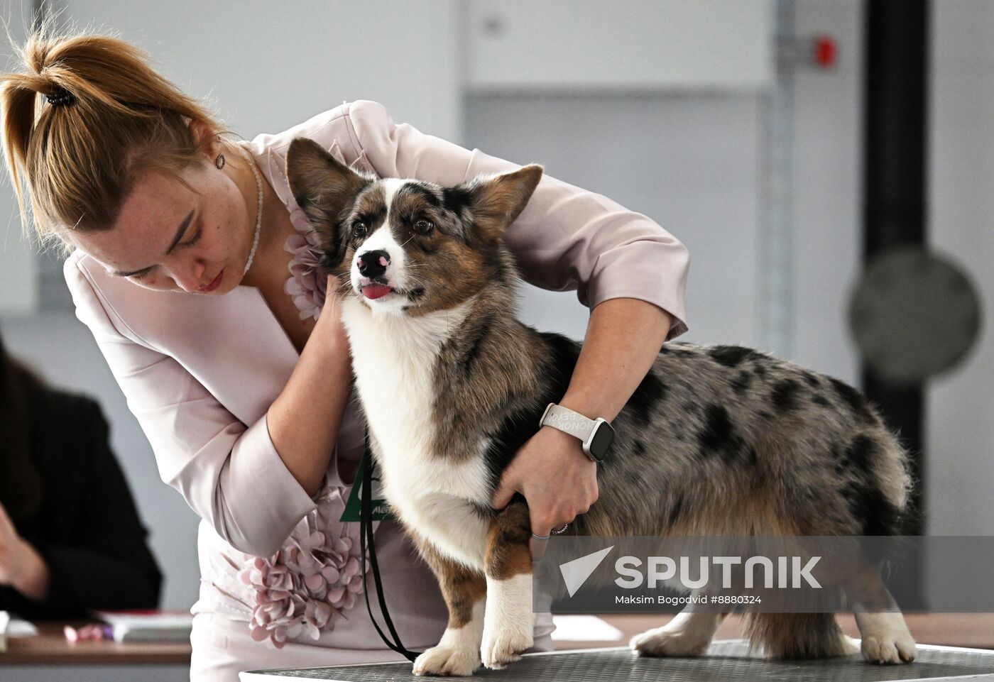 Russia Dog Show
