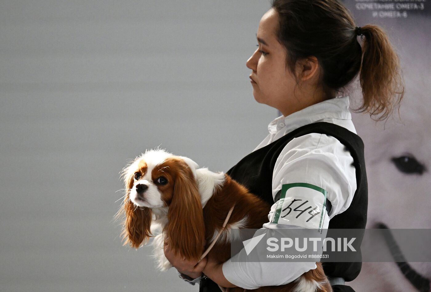 Russia Dog Show