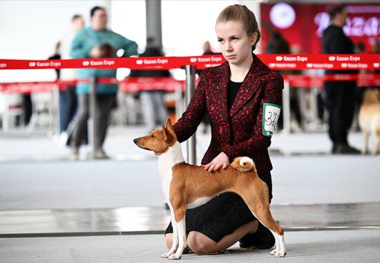 Russia Dog Show