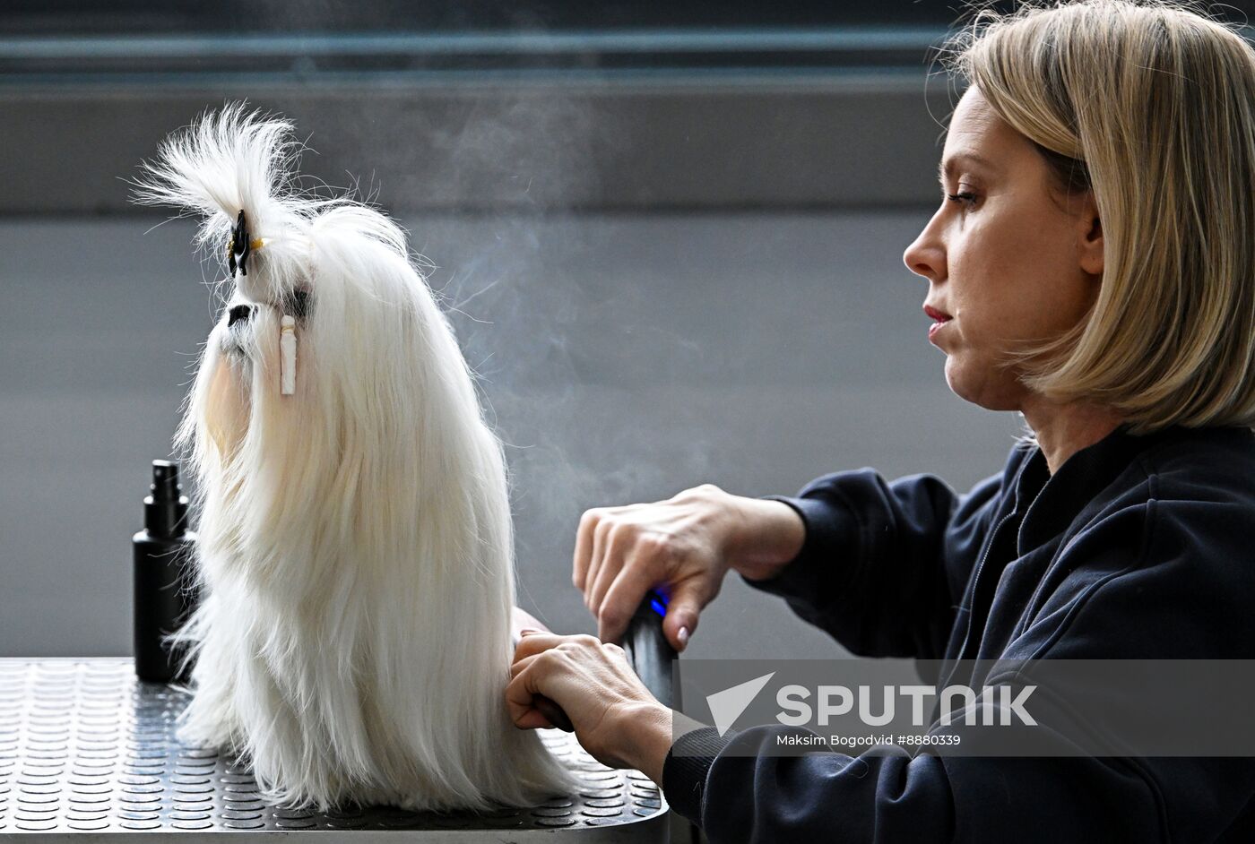 Russia Dog Show
