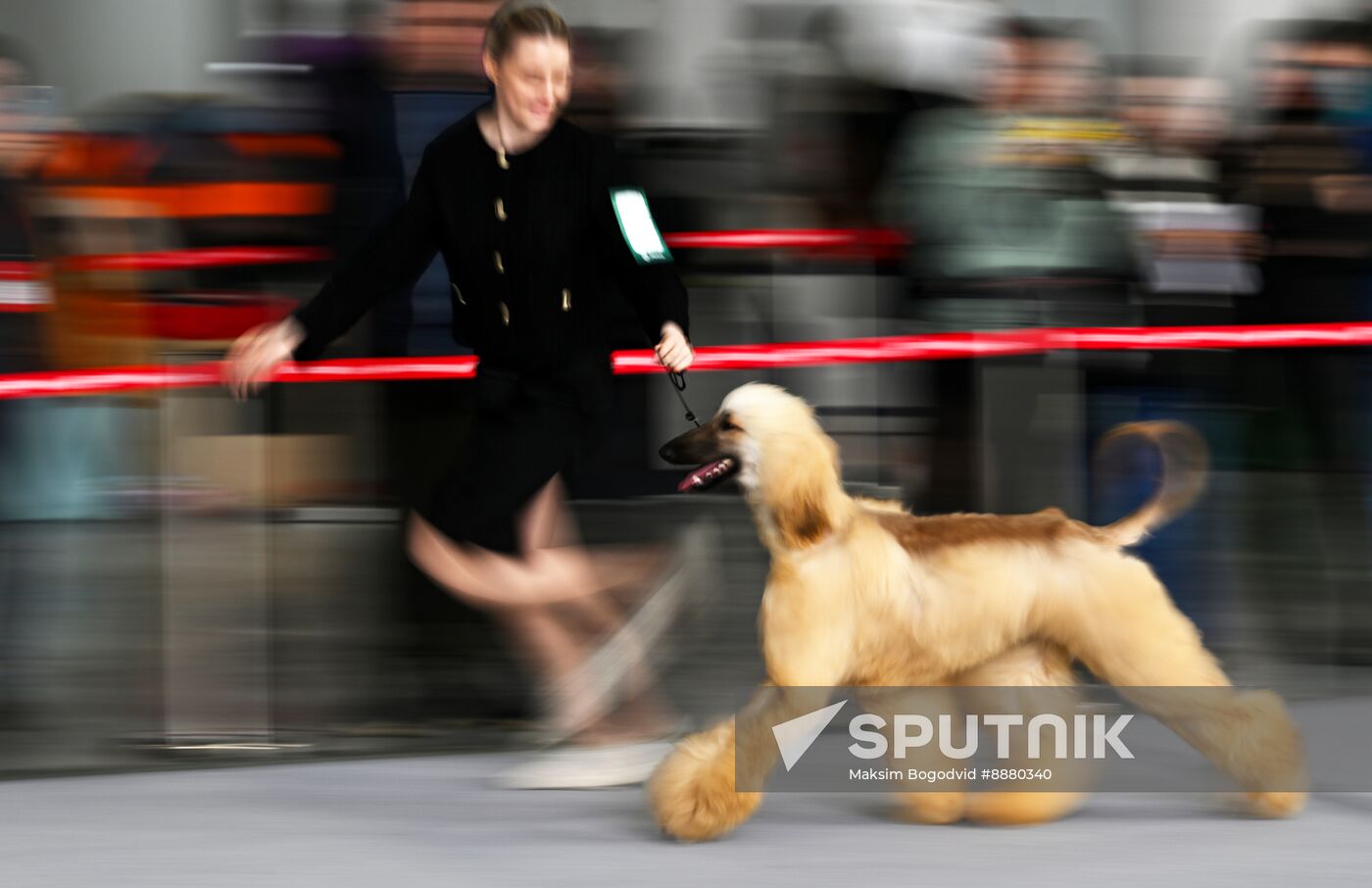 Russia Dog Show