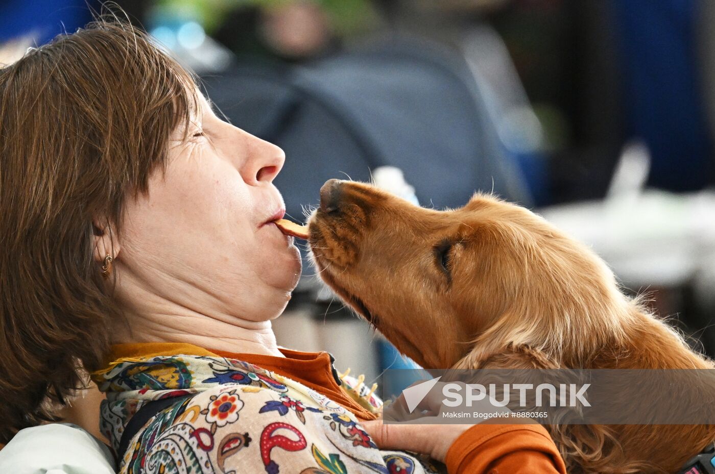 Russia Dog Show