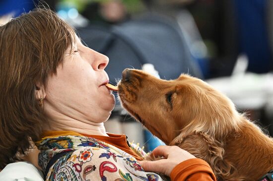 Russia Dog Show
