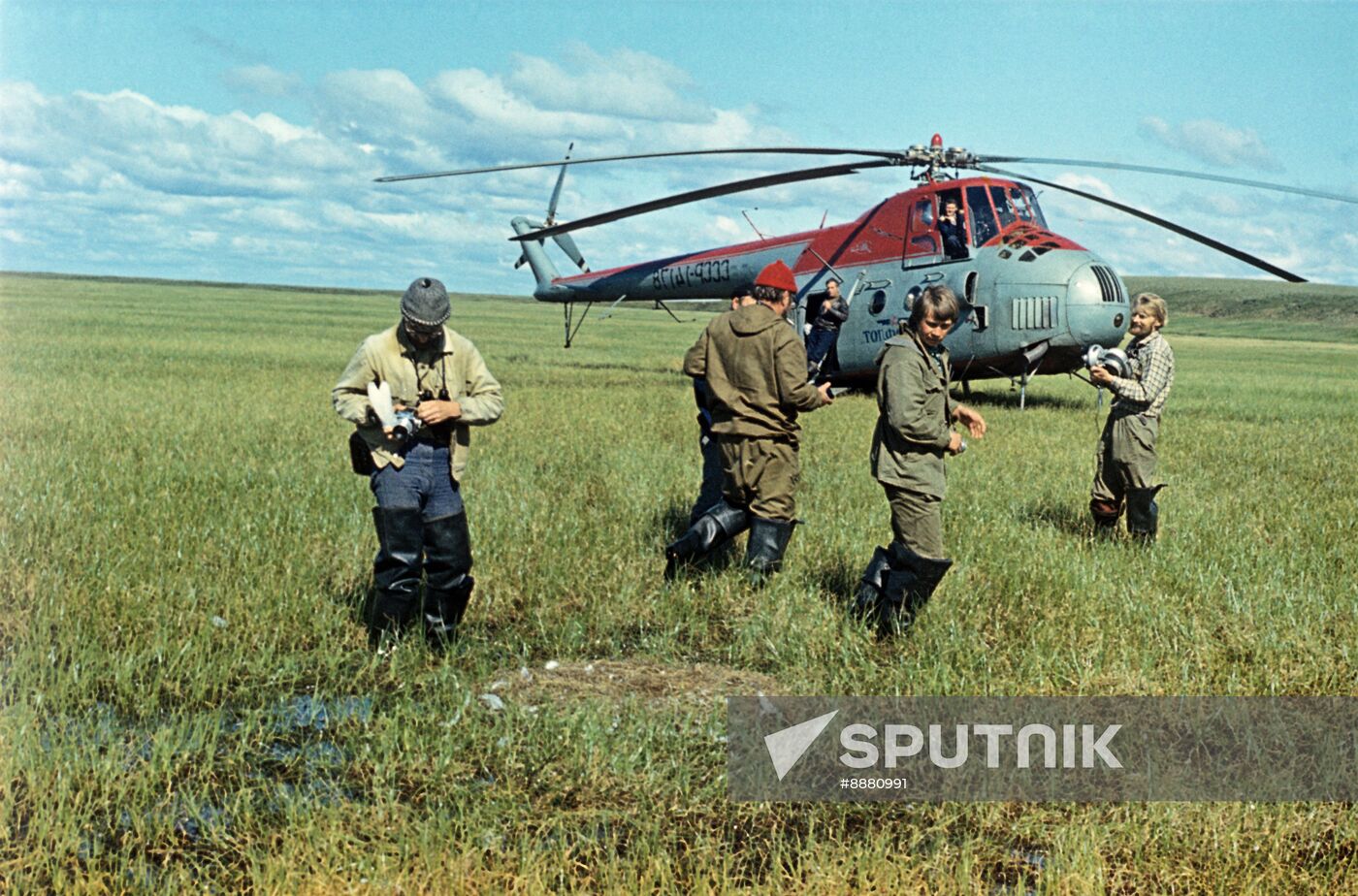 Studying habitat of white cranes in tundra