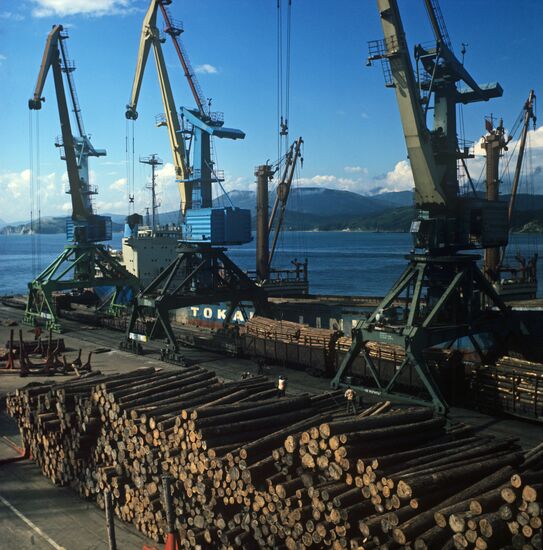 Port Vostochny, Russian federal sea port in Wrangel Bay