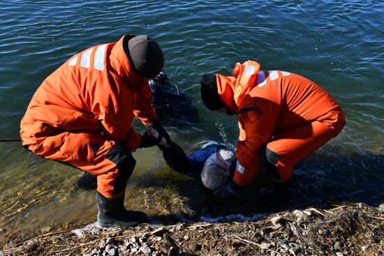 Russia Spring Flood Drills