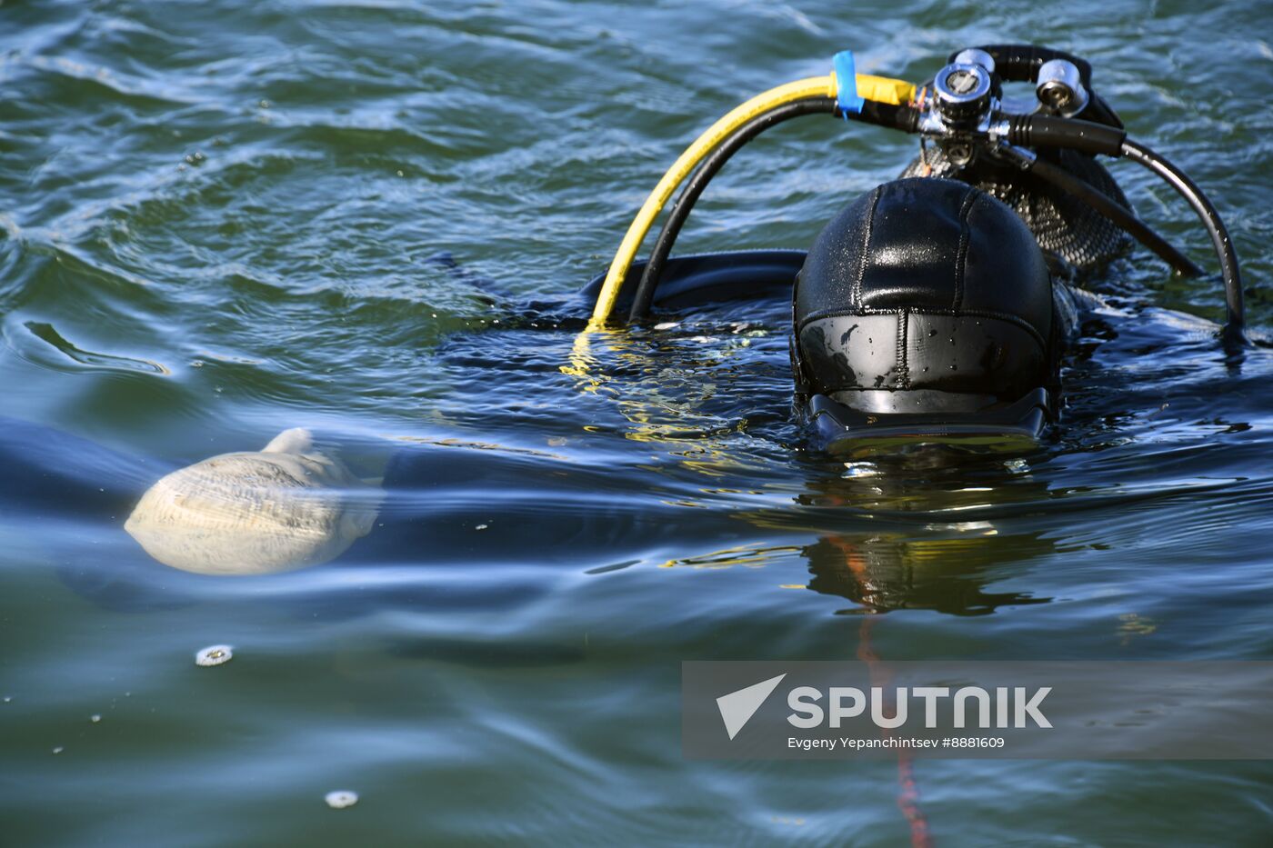 Russia Spring Flood Drills