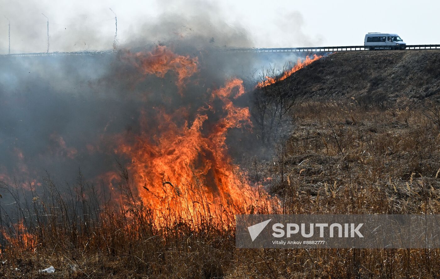 Russia Wildfire