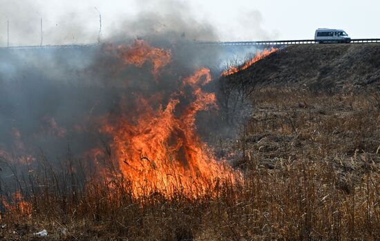 Russia Wildfire
