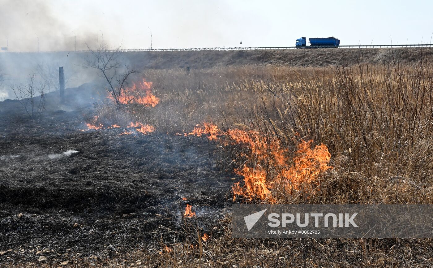 Russia Wildfire