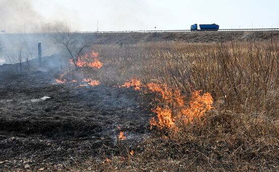 Russia Wildfire