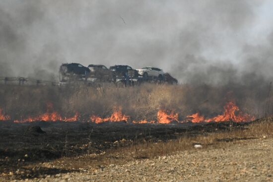 Russia Wildfire