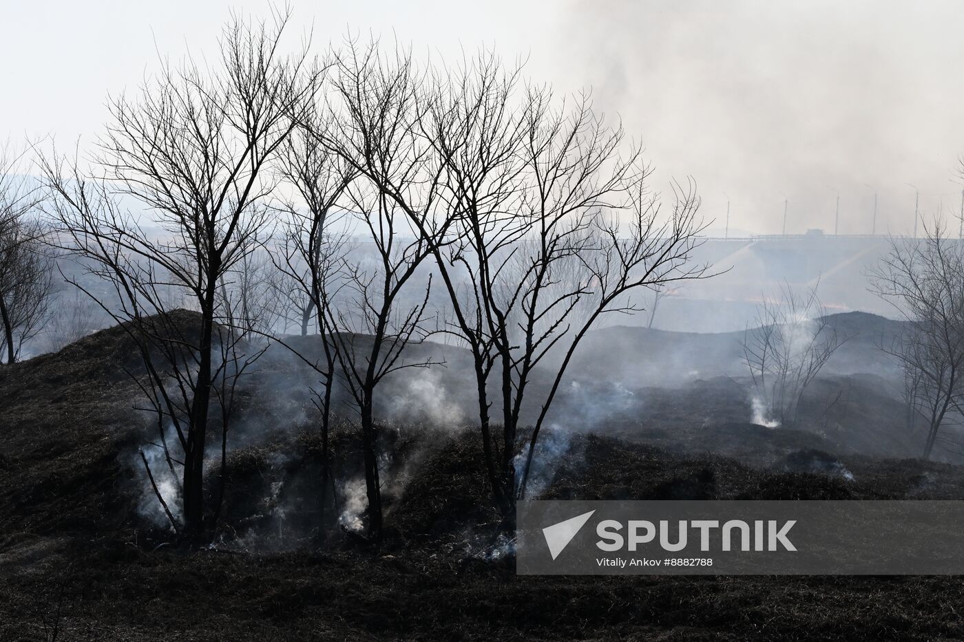 Russia Wildfire