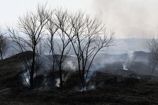 Russia Wildfire