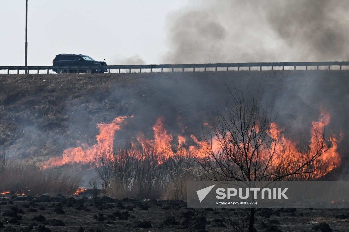 Russia Wildfire