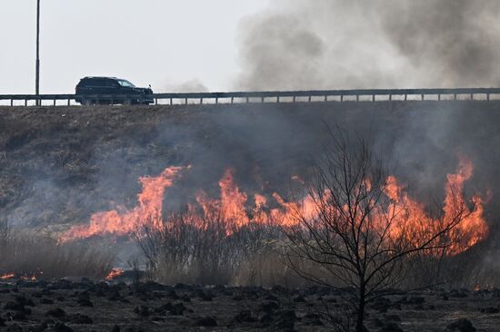Russia Wildfire