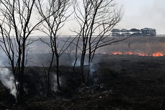 Russia Wildfire