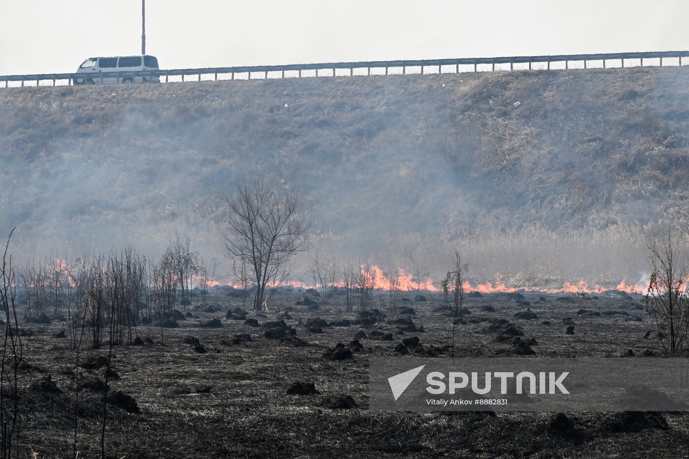 Russia Wildfire