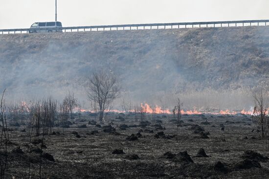 Russia Wildfire