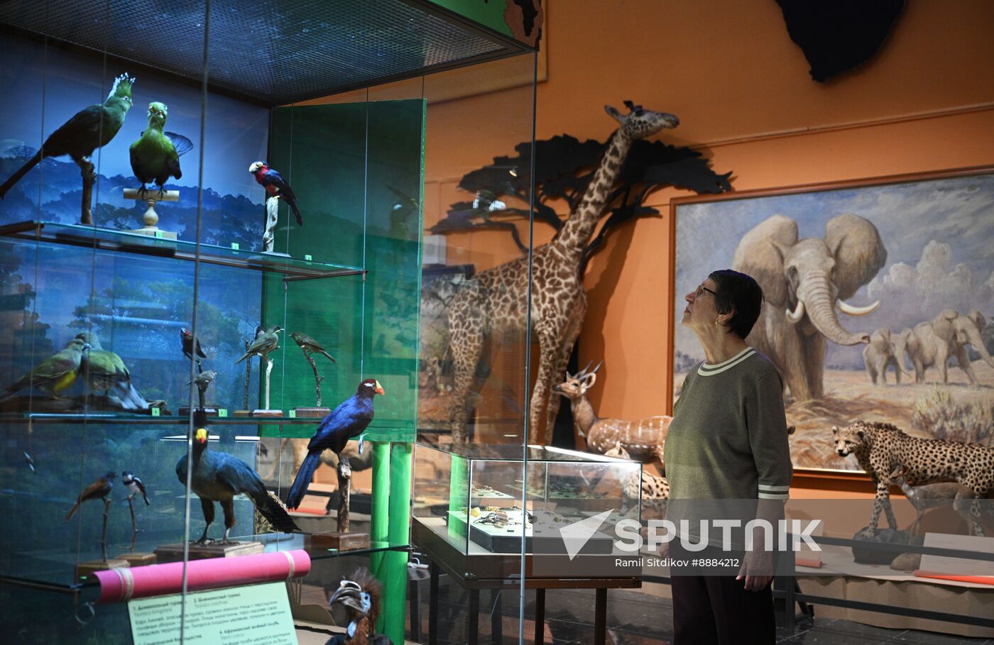 Russia African Continent Exhibition