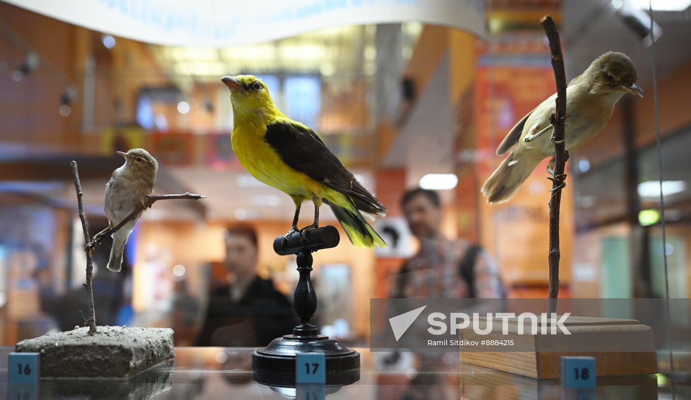 Russia African Continent Exhibition