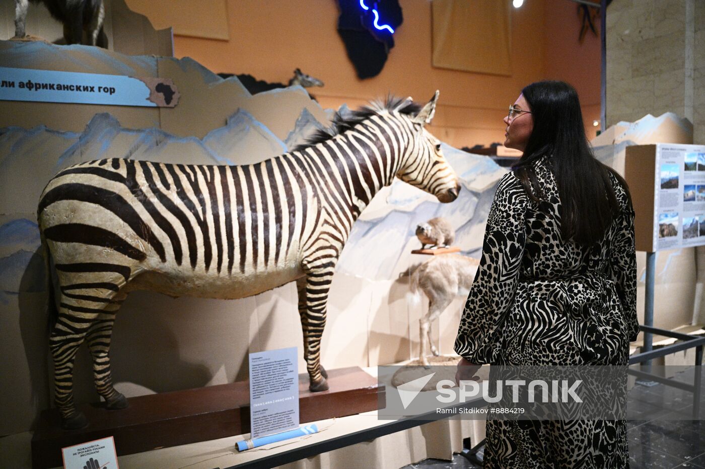 Russia African Continent Exhibition