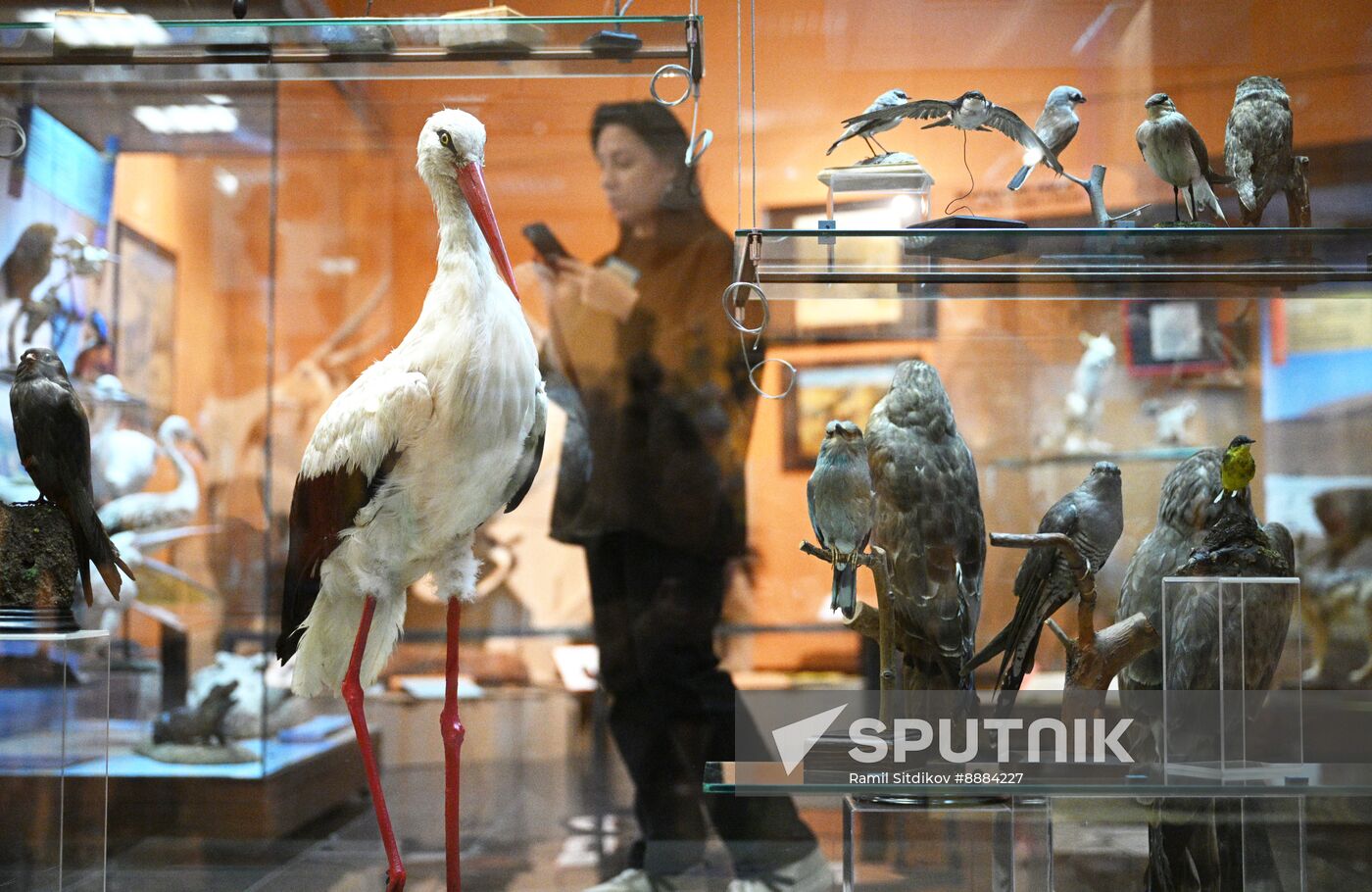 Russia African Continent Exhibition