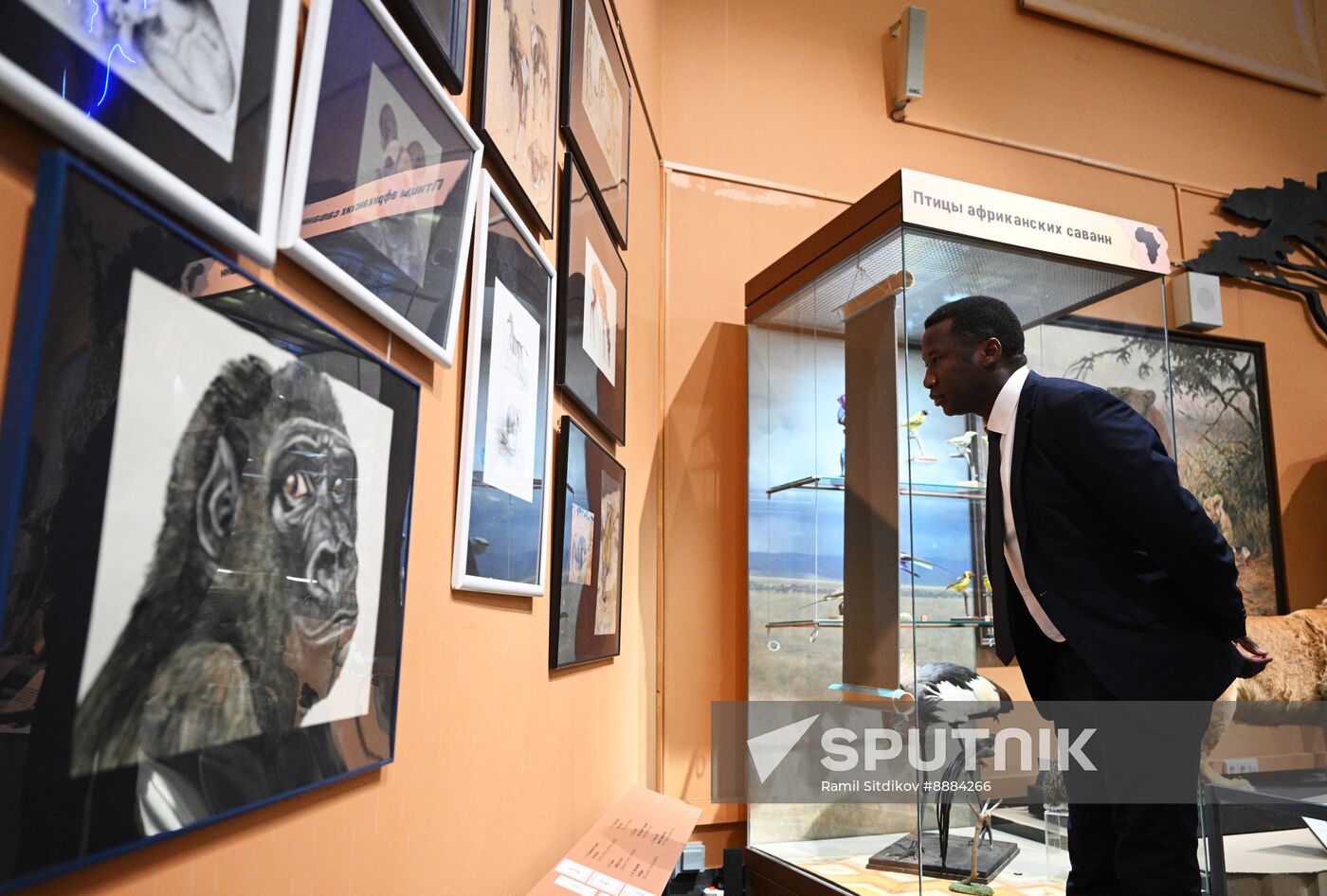 Russia African Continent Exhibition