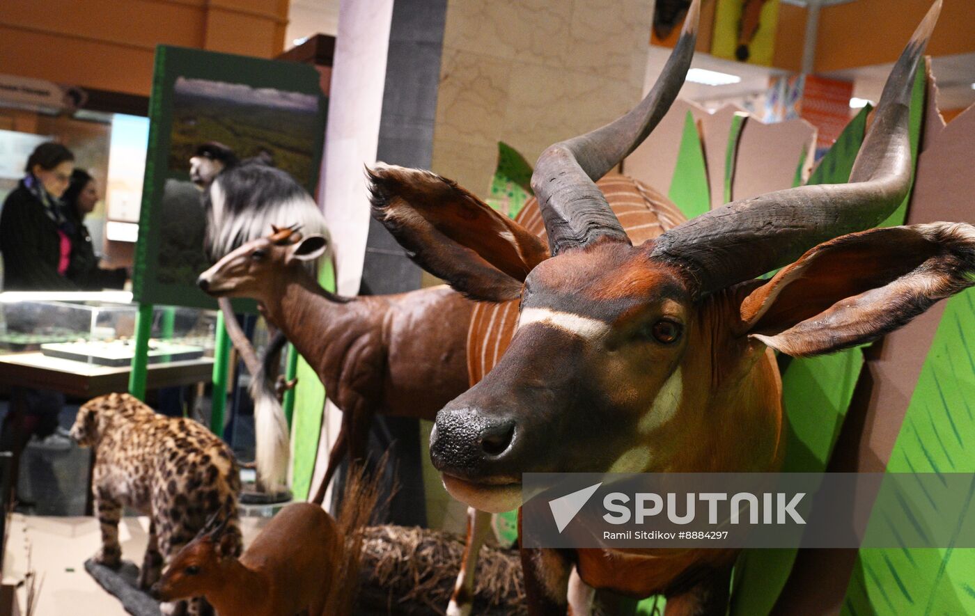 Russia African Continent Exhibition