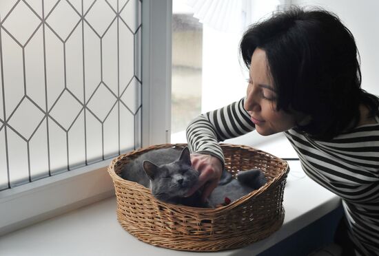 Russia Cat Cafe