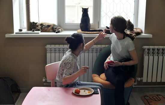 Russia Cat Cafe