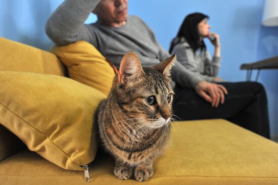 Russia Cat Cafe