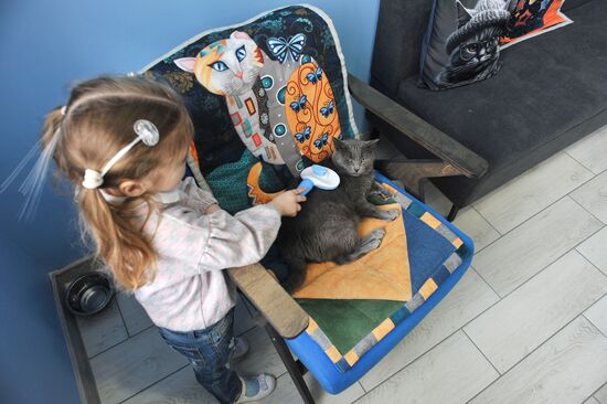 Russia Cat Cafe