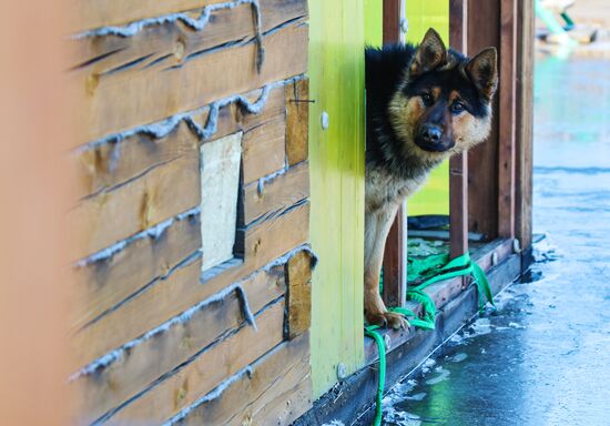 Russia Floods