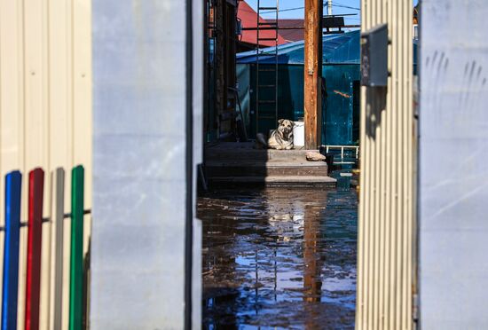 Russia Floods