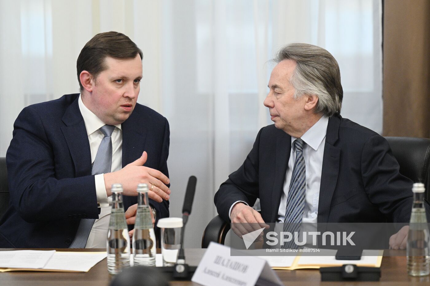 Russia Putin Culture Council