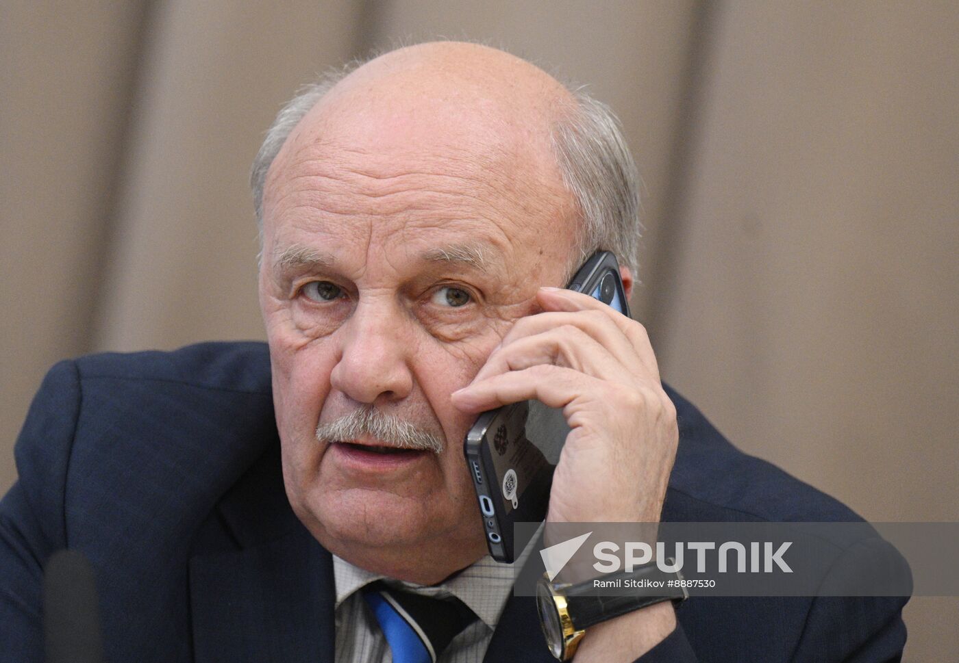 Russia Putin Culture Council