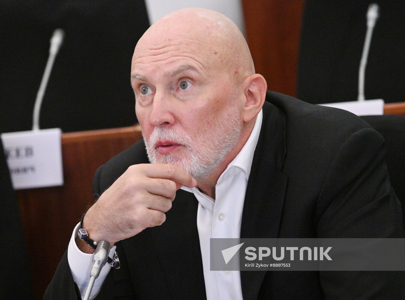 Russia Putin Culture Council