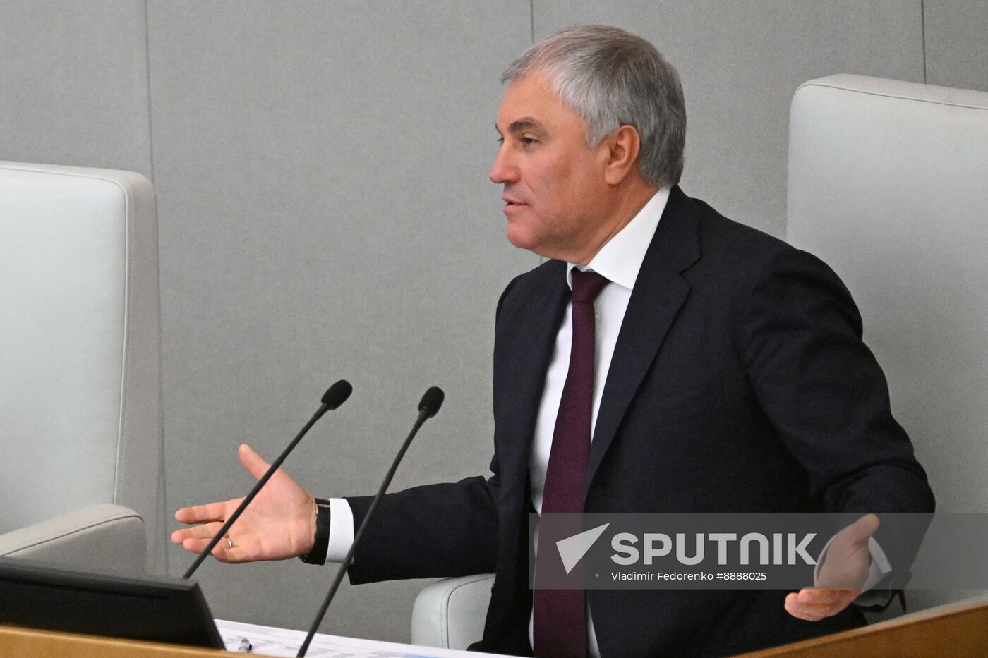 Russia Mishustin Government Report