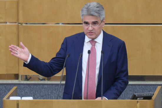 Russia Mishustin Government Report