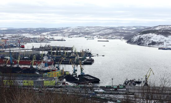 Russia Putin North Western Federal District