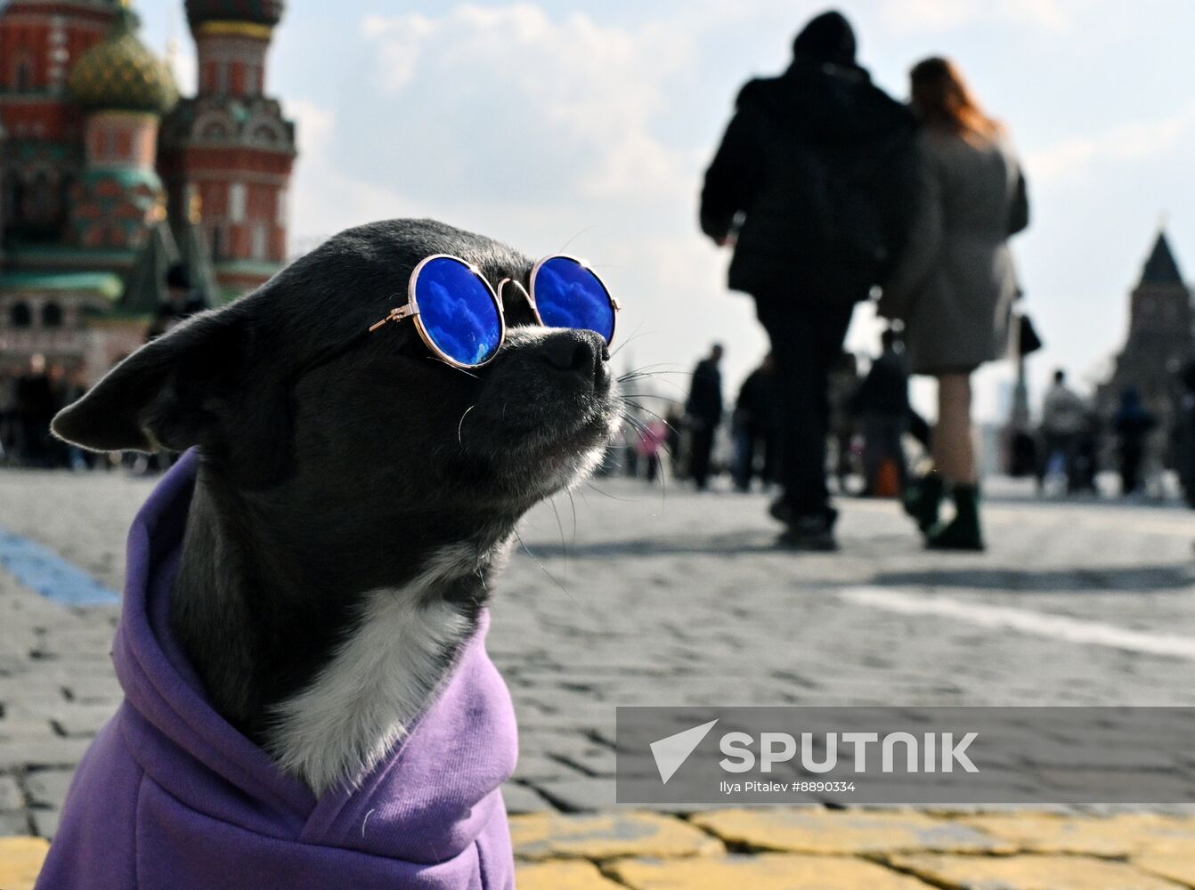 Russia Weather
